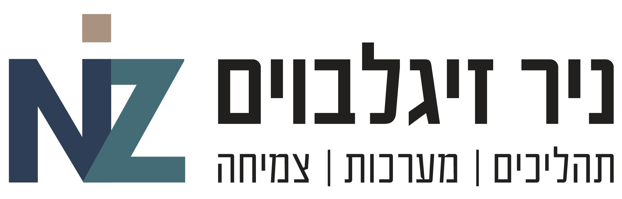לוגו ניר זיגלבוים